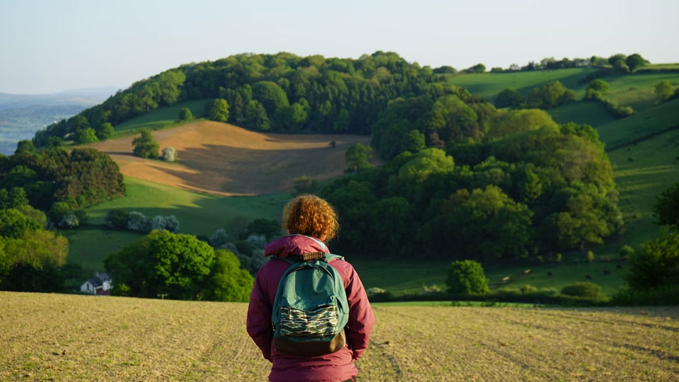 Wooded Hill