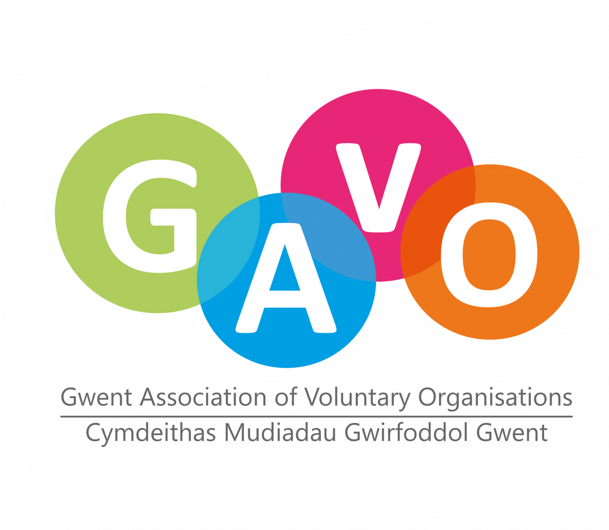 Gavo Logo