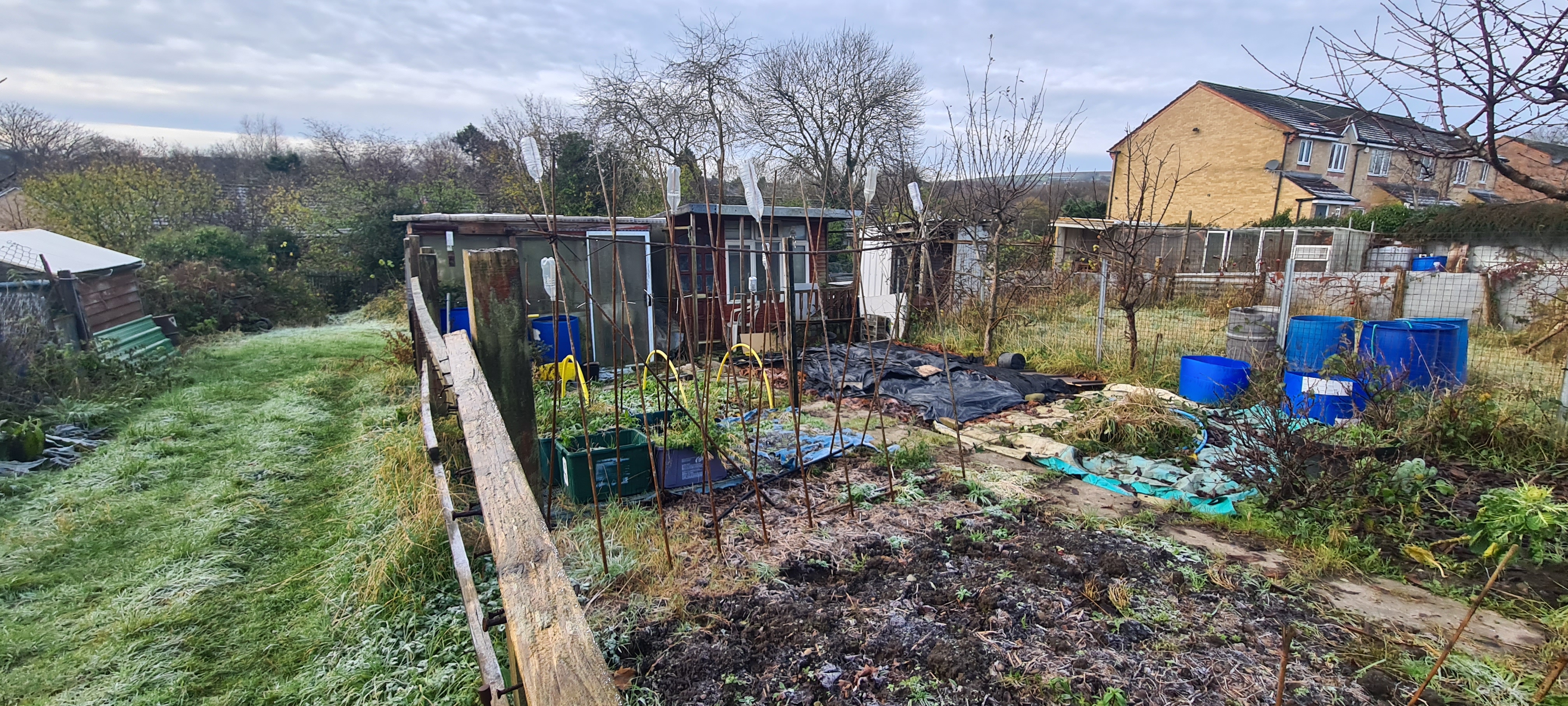 Pandy Allotments